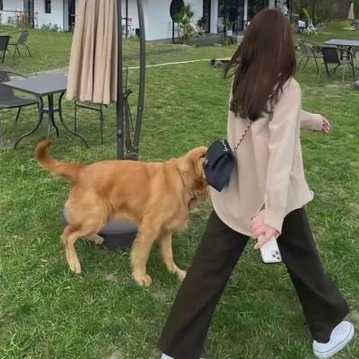 星与翼的悖论 海报